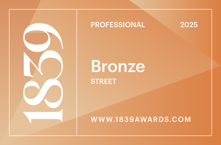 1839 Awards 2025 — Bronze medal, Chiaroscuro Gondolier by Sherry Keene